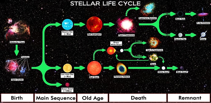 מחזור החיים של כוכבים. מצד ימין למעלה ישנו פער מסות בין כוכבי נויטרונים לחורים שחורים. קרדיט: R.N. Bailey