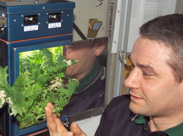 שרידות זרעים בחלל וההצלחה לגדל צמחים היא תנאי בסיסי לקיום אנושי בחלל | NASA