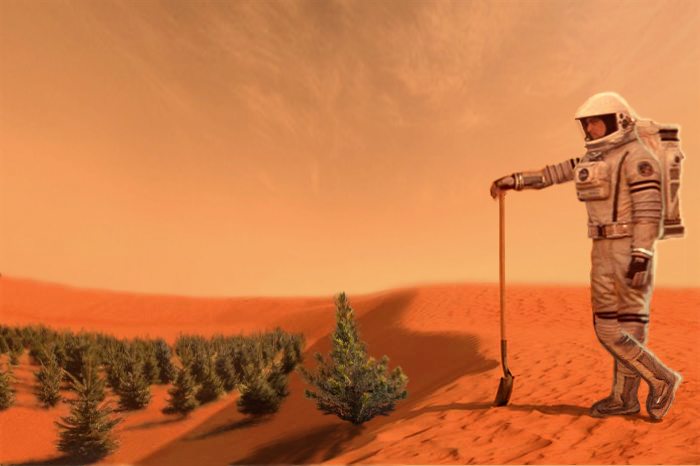 יישוב מאדים יחייב חקלאות מקומית | איור: D Mitriy