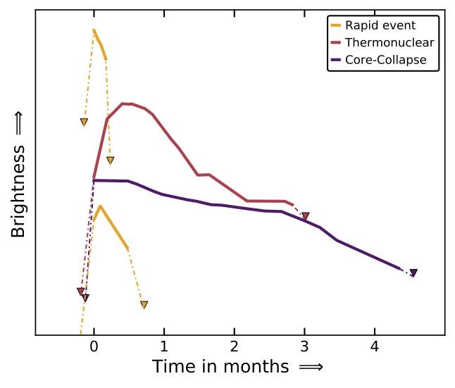 שני פיצוצים מהירים (בצהוב) לעומת פיצוצי סופרנובה, לפי רמת הבהירות לאורך זמן | M. Pursiainen / University of Southampton