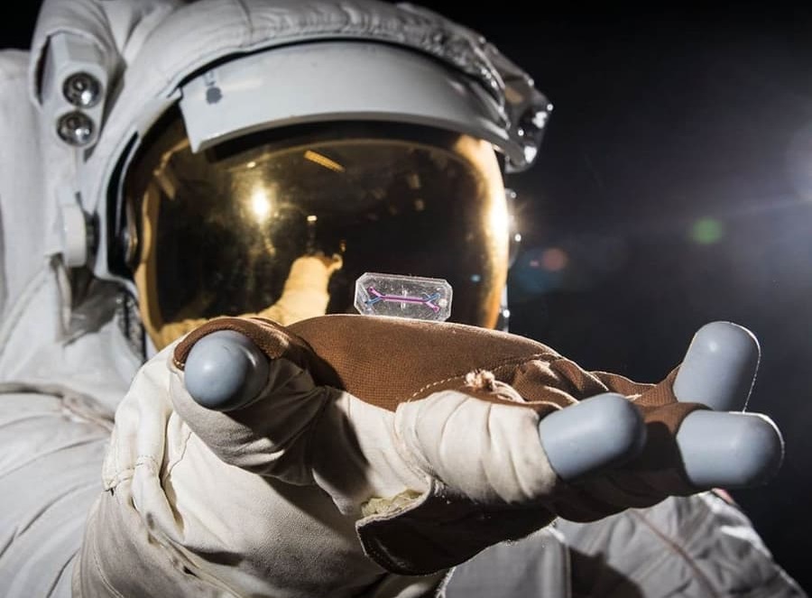 הדמיית אסטרונאוט עם רכיב מעבדה של ספייס פארמה