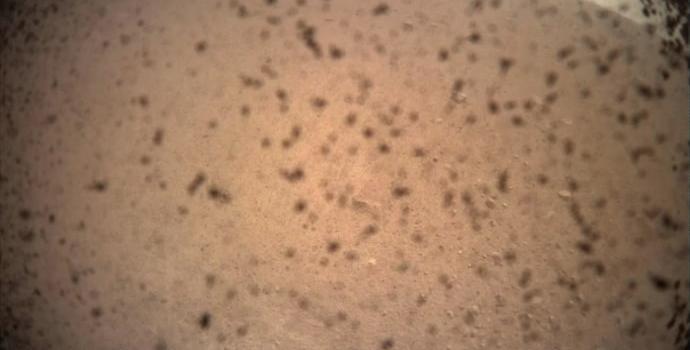 התמונה הראשונה של מאדים שצולמה על ידי אינסייט, לאחר הנחיתה. קרדיט:  NASA/JPL-Caltech
