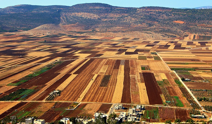 במקום השלישי: דן סיידה- מצפה בית רימון
