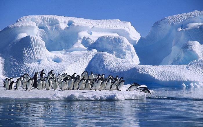 פינגווינים באנטרקטיקה - בכל זאת ניכרת השפעתו של המסלול האליפטי
