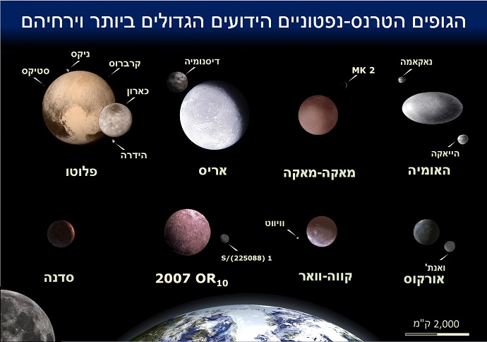 עצמים בחגורת קויפר בהשוואה לגודלו של כדור הארץ. קרדיט: Agbad