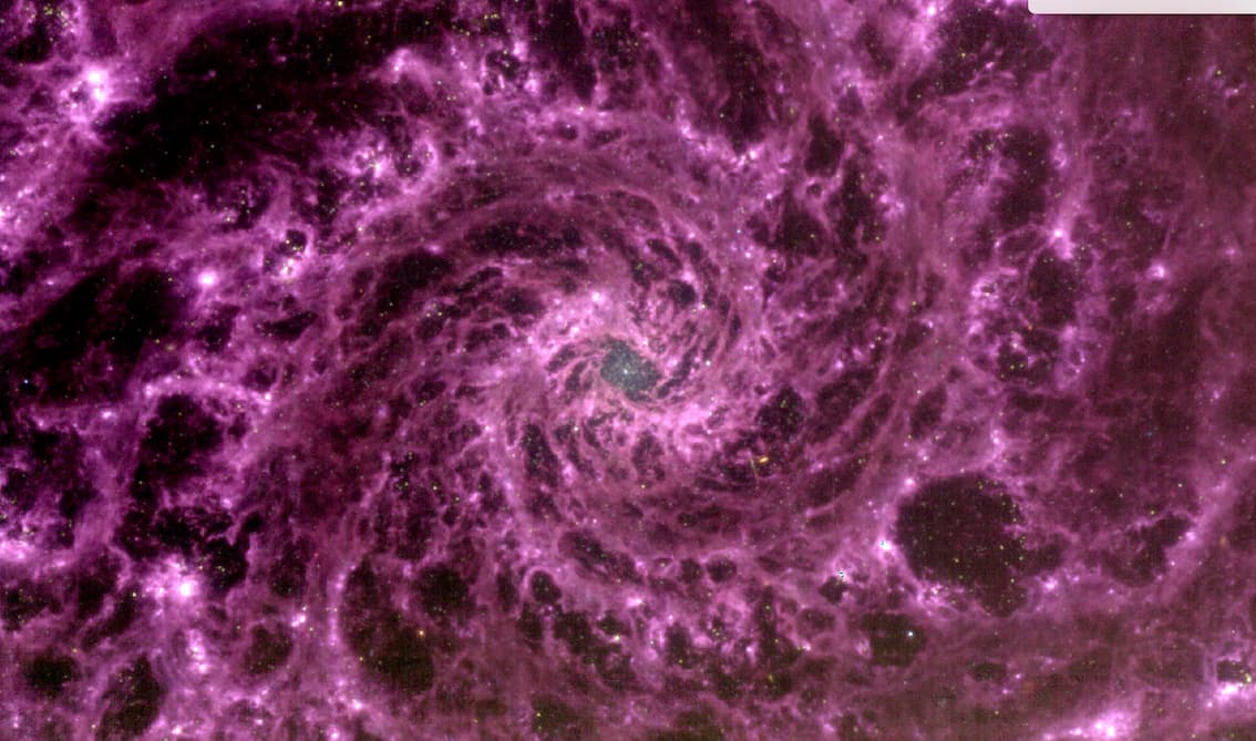גלקסיית הפנטום כפי שצולמה ע"י ג'יימס ווב. קרדיט: Niels Bohr Institute, University of Copenhagen/PHANGS-JWST/NASA