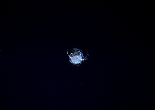 סדק בשמשת תחנת החלל הבינלאומית, לאחר פגיעה של פסולת חלל זעירה – כנראה שבב צבע. צילום: האסטרונאוט טים פיק