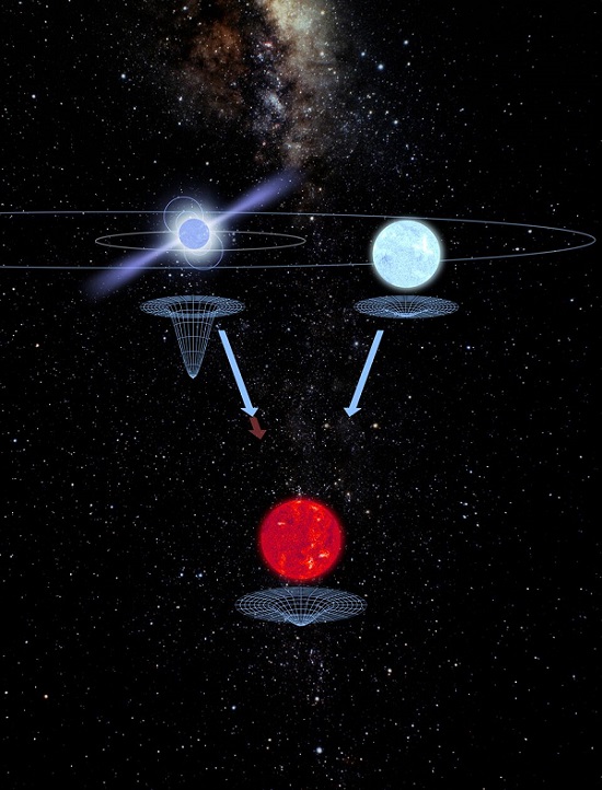 מערכת הכוכבים המשולשת PSR J0337+1715 עם הדמיית השפעת הכבידה של כל אחד מהכוכבים על המרחב-זמן בצורת רשתות|קרדיט:  Archibald et al