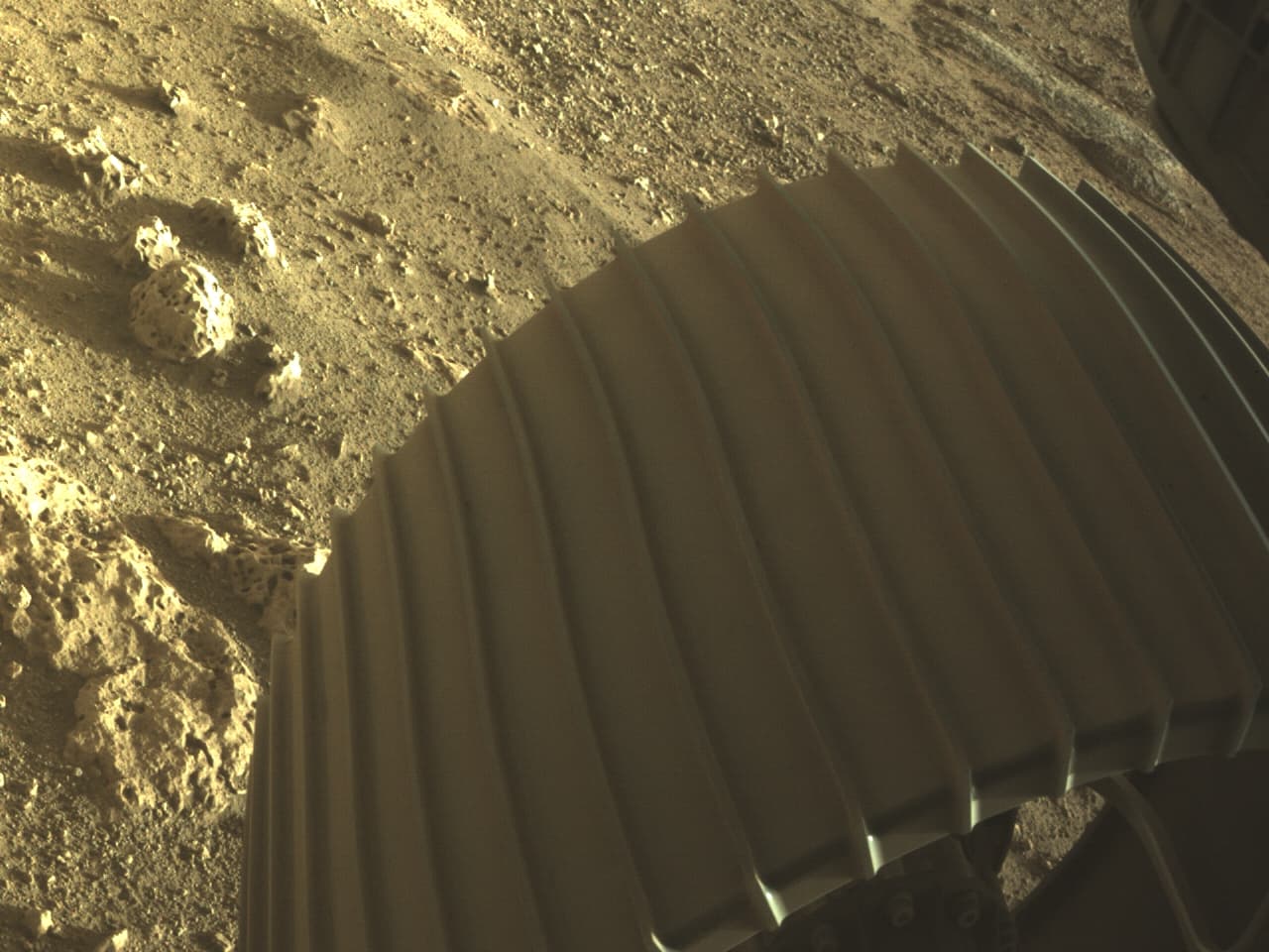 טאץ' דאון: גלגל הפרסרוורנס על אדמת מאדים. קרדיט: NASA/JPL-Caltech