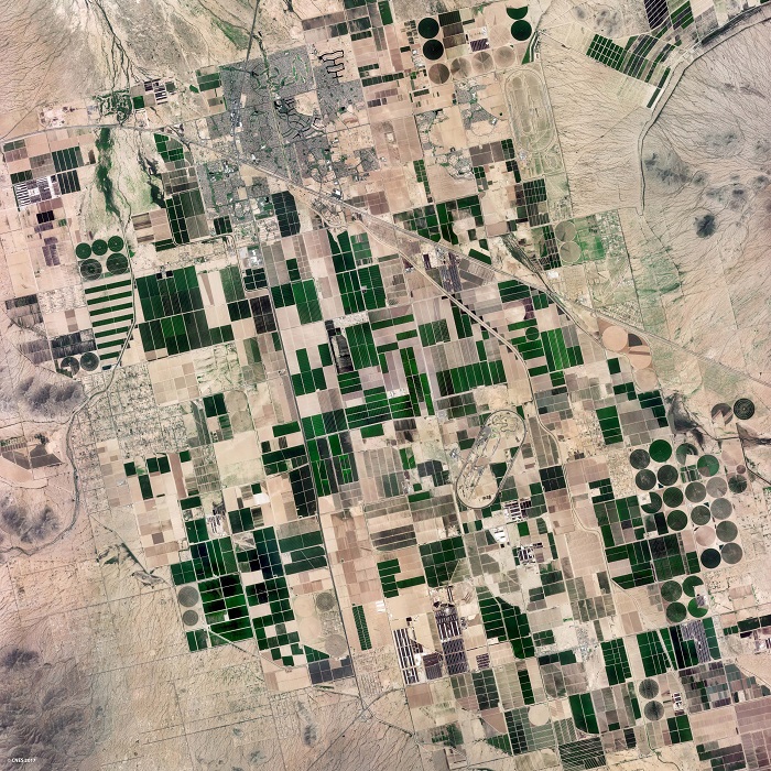 שדות חקלאיים באיזור פיניקס, כפי שצולמו על ידי הלוויין ונוס