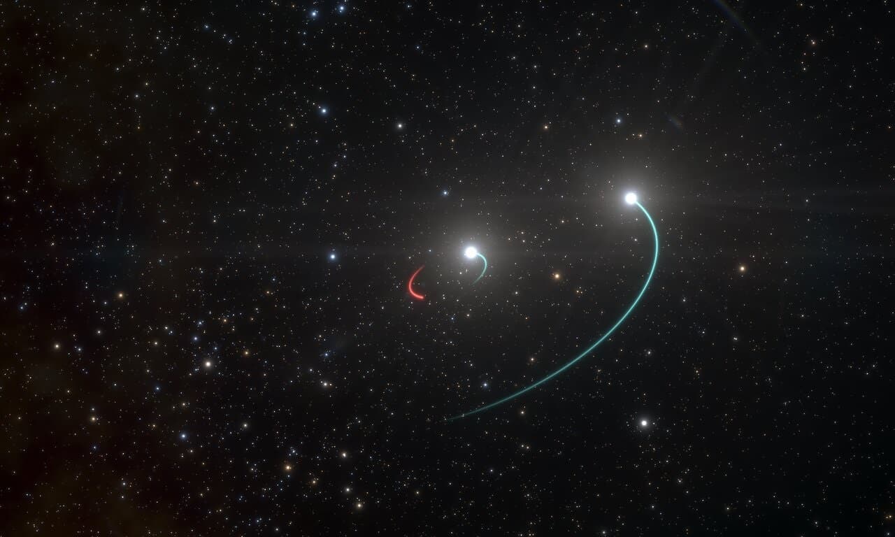 הדמיית אמן של מערכת 6819 HR. המסלול האדום מסמל את מסלולו של החור השחור. קרדיט: ESO/L. Calçada
