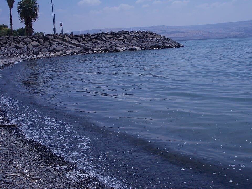 חוף שומם בכנרת.