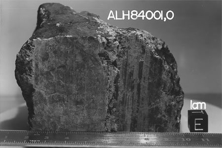 המטאוריט הידוע בכינויו ALH 84001 | NASA