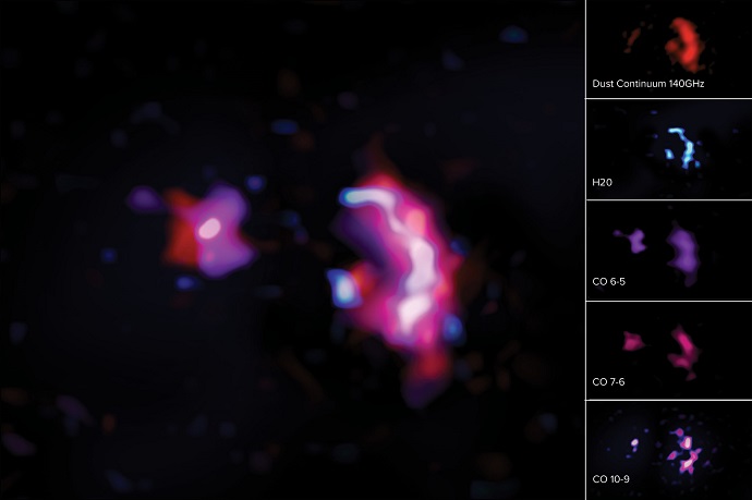 מים (בכחול) ופחמן חד-חמצני (באדום וסגול) בשתי הגלקסיות המתמזגות (SPT0311-58). קרדיט: ALMA (ESO/NAOJ/NRAO)/S. Dagnello (NRAO)