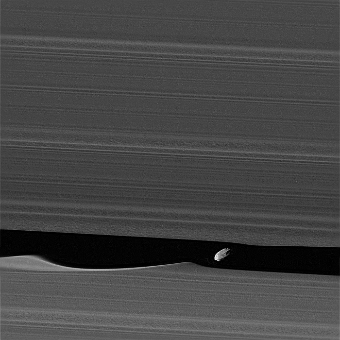 דפניס מכה גלים בטבעות שבתאי | צילום: NASA/JPL-Caltech/Space Science Institute דפניס מכה גלים בטבעות שבתאי | צילום: NASA/JPL-Caltech/Space Science Institute