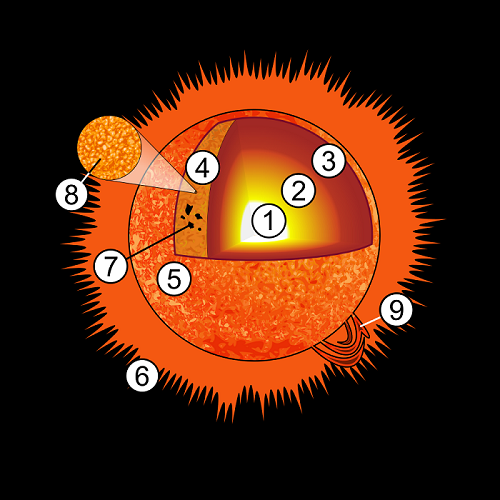 1-ליבת השמש 2-האזור הקרינתי 3-האזור ההסעתי 4-פוטוספירה 5-כרומוספירה 6-עטרה 7-כתם שמש 8-גִּרְעוּן 9-התפרצות סולרית| Pbroks13
