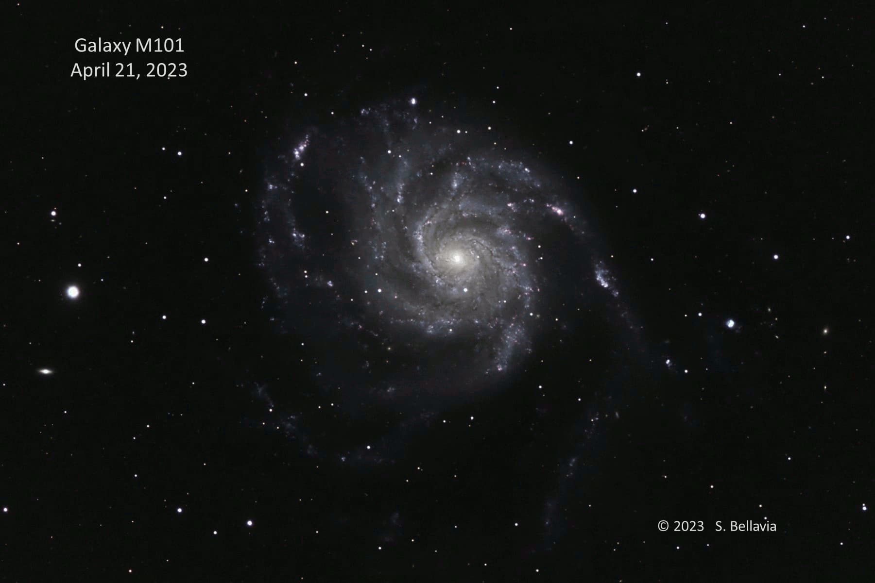 גלקסיית גלגל הרוח (Messier 101). קרדיט: Steven Bellavia